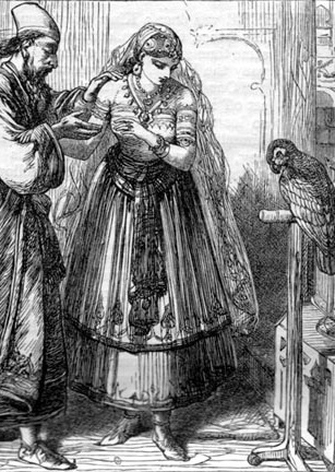 Historia del marido y el papagayo (ebook)