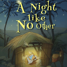 A Night Like No Other (Paperback)