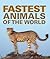Fastest Animals Of The World: Super Fast Animals