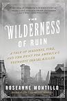The Wilderness of...