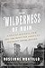 The Wilderness of Ruin: A Tale of Madness, Fire, and the Hunt for America's Youngest Serial Killer