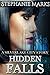 Hidden Falls (Silverlake City Stories)