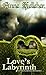 Love's Labyrinth