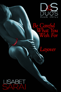 D&S Duos Book 3 (ebook)