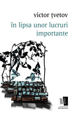 în lipsa unor lucruri importante (Paperback)