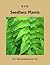 Seedless Plants