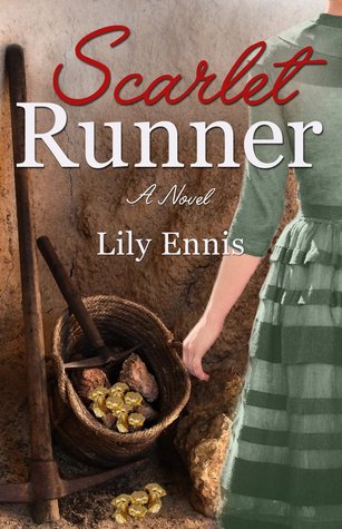 scarlet runner