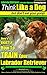 Labrador Retriever, Labrador Retriever Training AAA AKC: |Think Like a Dog ~ But Don’t Eat Your Poop! | Labrador Retriever Breed Expert Training |: Here's EXACTLY how to Train Your LABRADOR RETRIEVER