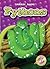 Pythons (Paperback) (Blastoff! Readers: Snakes Alive)