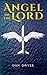 Angel of The Lord (Jonathan's Travels, #1)