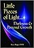 Little Pieces of Light by Joyce Rupp OSM
