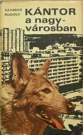 Kántor a nagyvárosban