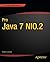 Pro Java 7 NIO.2 (Expert's Voice in Java)