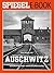 Auschwitz - Geschichte eine...
