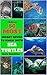 Sea Turtles For Kids : 50 M...
