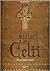 I misteri dei Celti by Stefano Mayorca