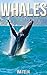 Whales: Children Book of Fun Facts & Amazing Photos on Animals in Nature - A Wonderful Whales Book for Kids aged 3-7