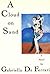 A Cloud on Sand by Gabriella De Ferrari