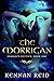 The Morrigan: Damaged Deities