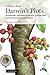 Darwin's Plots: Evolutionary Narrative in Darwin, George Eliot and Nineteenth-Century Fiction