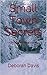 Small Town Secrets by Deborah Davis
