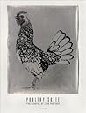 Poultry Suite: Photographs by Jean Pagliuso
