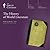 The History Of World Literature