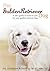 The Golden Retriever Dog: A vet's guide on how to care for your Golden Retriever dog