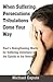 When Suffering, Persecutions and Tribulations Come Your Way. : What Hides Behind Paul's Words of Encouragement in the Book of Romans
