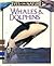 Whales and Dolphins by Anton Ericson Whales and Dolphins by Anton Ericson