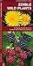 Edible Wild Plants: A Folding Pocket Guide to Familiar North American Species (A Pocket Naturalist Guide)