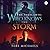 Who Knows the Storm (The Vigilante, #1)