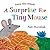 A Surprise for Tiny Mouse