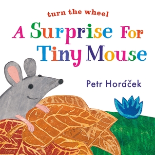 A Surprise for Tiny Mouse (Board Book)