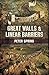 Great Walls & Linear Barriers