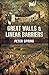 Great Walls & Linear Barriers