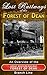 Lost Railways of the Forest of Dean: An Overview of the G.W.R. Forest of Dean Branch Line