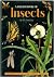 A Child's Book of Insects