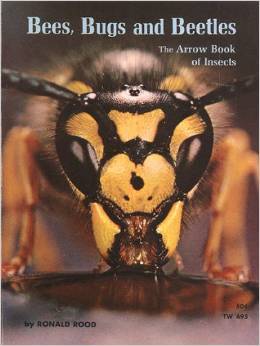Bees, Bugs and Beetles: The Arrow Book of Insects