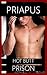 Hot Butt: Gay Prison Erotica