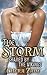 The Storm: Shared by the Vikings (Historical Group Erotica)