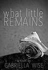 What Little Remains by Gabriella Wise