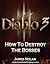 Diablo 3 Strategy Guide: Ho...