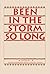 Been in the Storm So Long by Mark D. Morrison-Reed