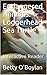 Endangered Animals: Loggerhead Sea Turtle: Interactive Reader