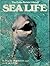Sea life (The Color nature library)
