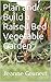 Plan and Build a Raised Bed Vegetable Garden