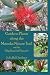 Guide to Plants along the M...