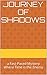 Journey of Shadows: a Fast-Paced Mystery Where Time is the Enemy (The Shadows Book 1)