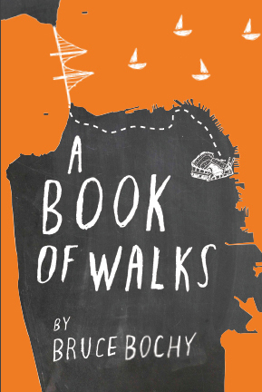 A Book of Walks